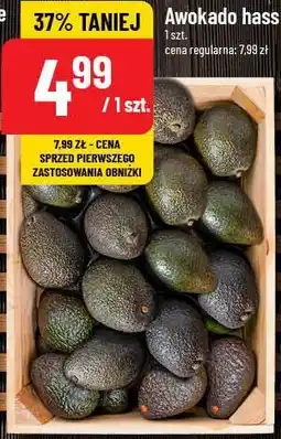 Polomarket Awokado Hass oferta