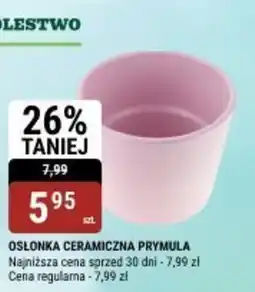 bi1 OSŁONKA CERAMICZNA PRYMULA oferta