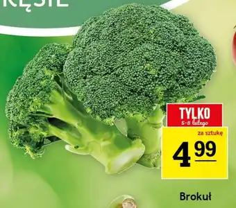 Gram Market Brokuł oferta