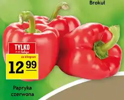 Gram Market Papryka czerwona oferta