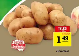 Gram Market Ziemniaki oferta