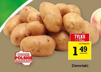 Gram Market Ziemniaki oferta