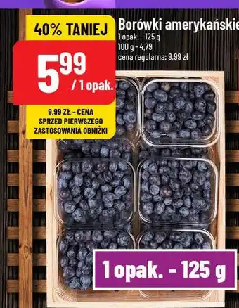 Polomarket Borówka amerykańska oferta