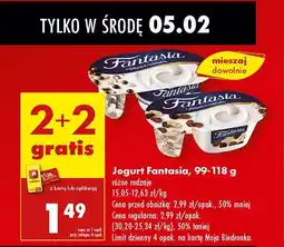 Biedronka Jogurt z płatkami w czekoladzie Danone fantasia oferta