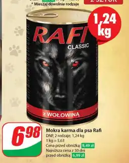 Dino Karma dla psa Rafi oferta