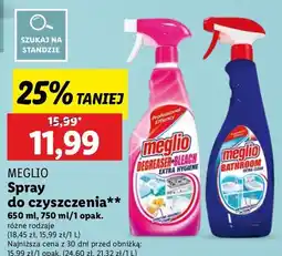 Lidl Spray do czyszczenia Meglio oferta