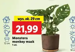 Lidl Monstera monkey mask oferta