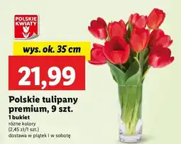 Lidl Tulipany premium 35 cm oferta