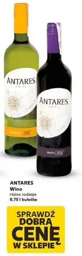 Kaufland Wino Antares Chardonnay oferta