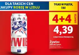 Lidl Piwo Żywiec Jasne Pełne oferta