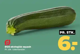 Netto ØGO økologisk squash oferta