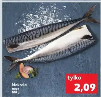 Kaufland Makrela tusza oferta