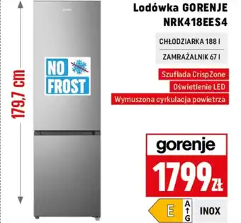 Neopunkt Lodówka Gorenje oferta