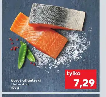 Kaufland Filet z łososia Łosoś oferta