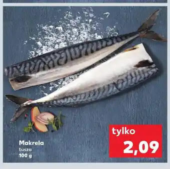 Kaufland Makrela oferta