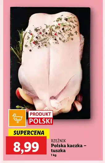 Lidl Kaczka Rzeźnik oferta