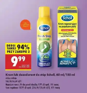 Biedronka Krem do stóp Scholl oferta