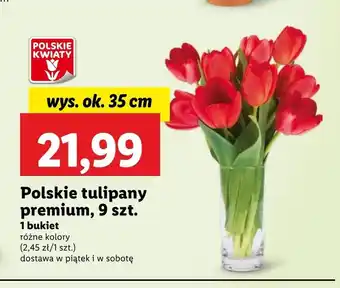 Lidl Bukiet tulipanów Polskie kwiaty oferta