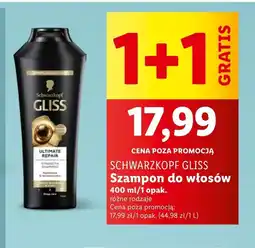 Lidl Szampon Schwarzkopf oferta