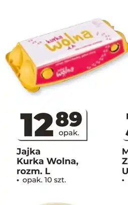 Odido Jajka Kurka wolna oferta