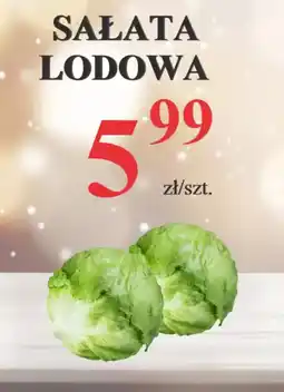 Pelcowizna Sałata lodowa oferta