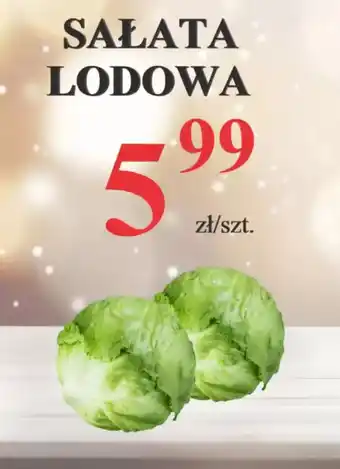 Pelcowizna Sałata lodowa oferta