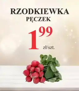 Pelcowizna Rzodkiewka pęczek oferta