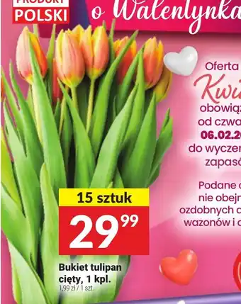 Twój Market Bukiet tulipan. cięty, 1 kpl. oferta