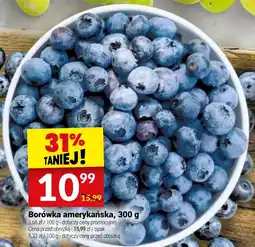 Twój Market Borówka amerykańska oferta