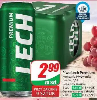 Dino Piwo Lech Premium oferta