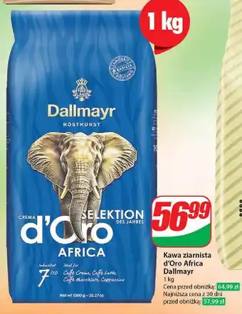 Dino Kawa Dallmayr D'oro Selektion Des Jahres Africa oferta