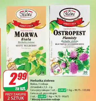 Dino Herbatka ostropest plamisty Malwa Tea oferta