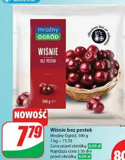 Dino Wiśnie Mroźny Ogród oferta