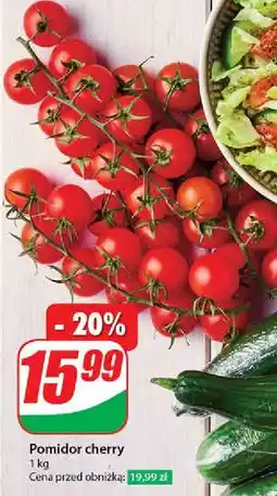 Dino Pomidory cherry gałązka oferta