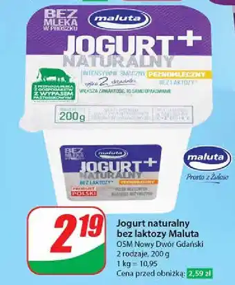 Dino Jogurt naturalny bez laktozy Maluta oferta