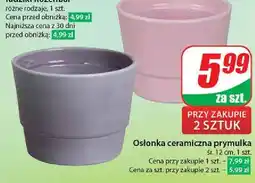 Dino Osłonka ceramiczna 12 cm oferta