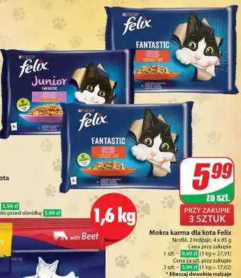 Dino Karma dla kota wołowina i kurczak Purina Felix Fantastic oferta