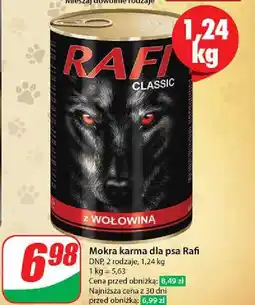 Dino Karma dla psa z wołowiną Rafi Classic oferta