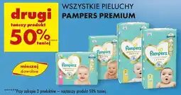 Biedronka Pieluchy Pampers Premium oferta