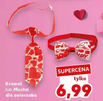 Kaufland Krawat dla psa T. Love oferta