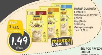 Słoneczko Karma dla kota Friskies oferta