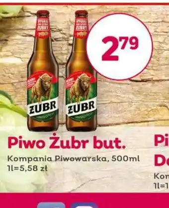 Bliski Piwo Zubr oferta