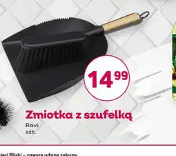 Bliski Zmiotka z szufelką Ravi oferta