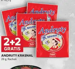 Stokrotka Optima Andruty Krasnal oferta