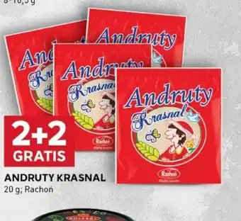 Stokrotka Optima Andruty Krasnal oferta