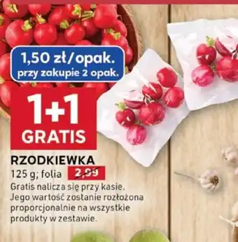 Stokrotka Optima Rzodkiewka oferta