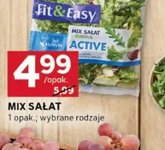 Stokrotka Optima Mix sałat Fit & Easy Active oferta