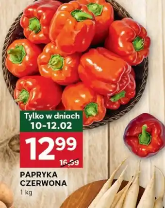 Stokrotka Optima Papryka czerwona oferta