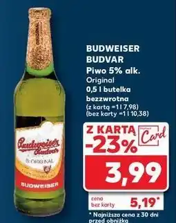 Kaufland Piwo Budweiser oferta