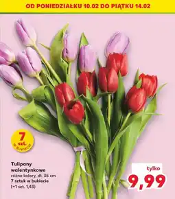 Kaufland Tulipany bukiet 35 cm oferta